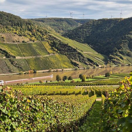Weingut Mathy-Schanz Osann-Monzel Buitenkant foto