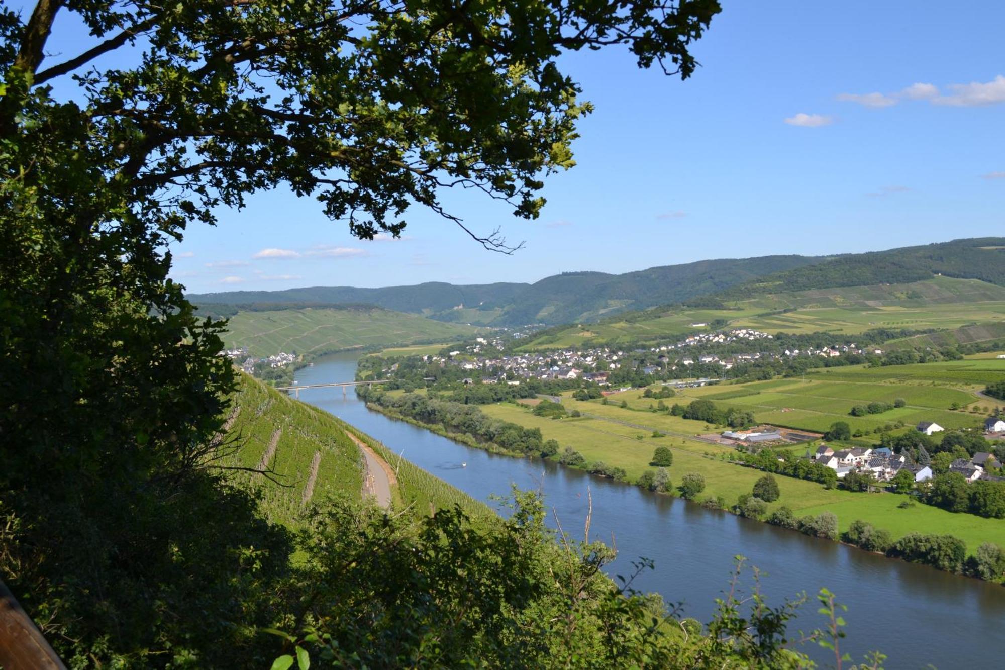 Weingut Mathy-Schanz Osann-Monzel Buitenkant foto