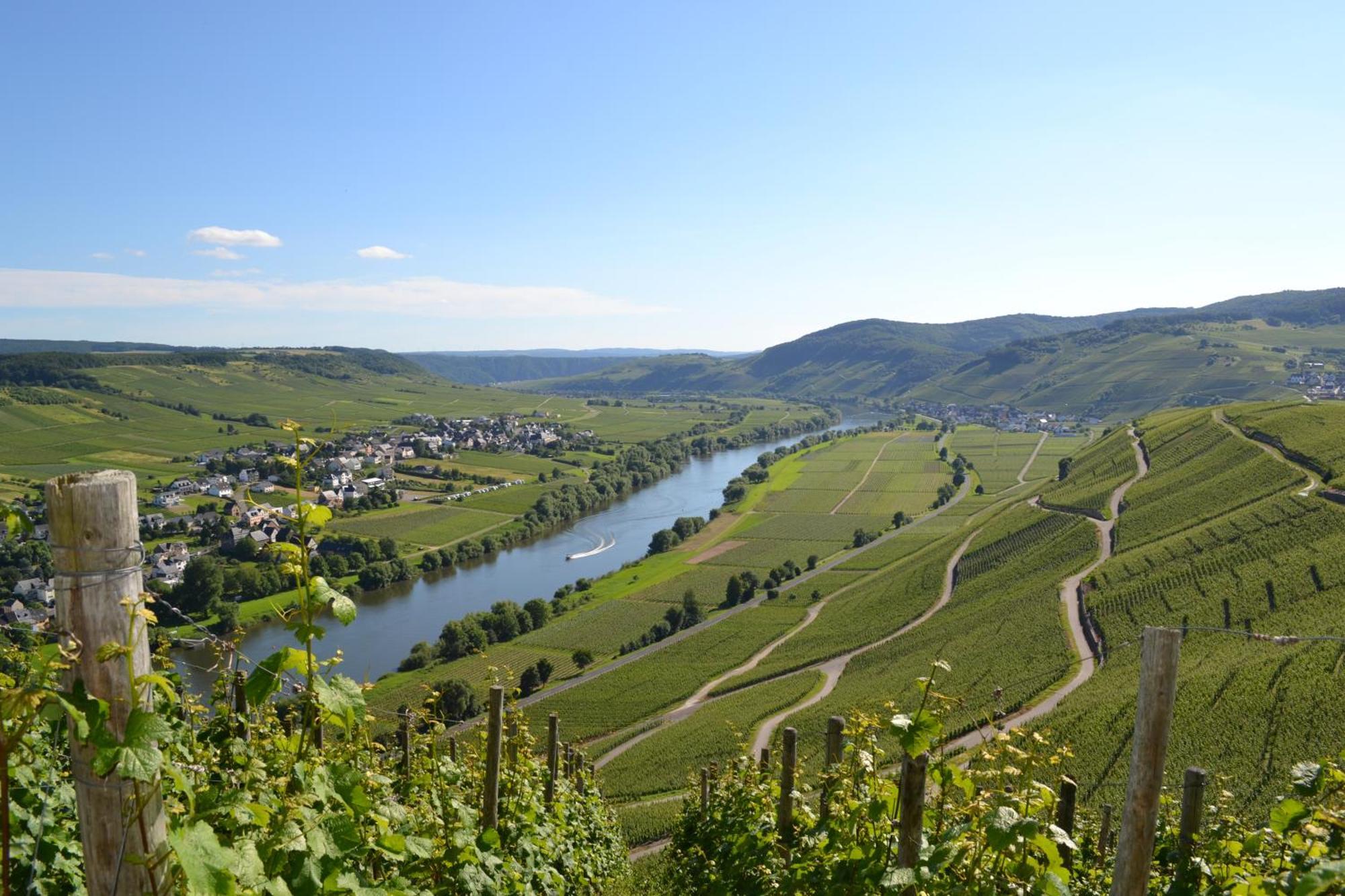 Weingut Mathy-Schanz Osann-Monzel Buitenkant foto