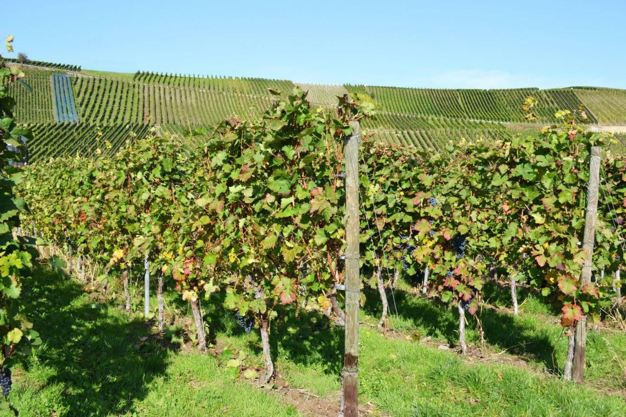 Weingut Mathy-Schanz Osann-Monzel Buitenkant foto