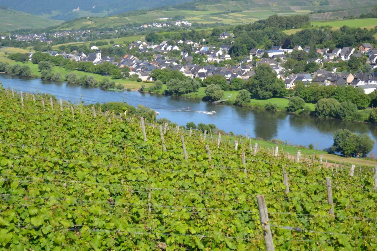 Weingut Mathy-Schanz Osann-Monzel Buitenkant foto